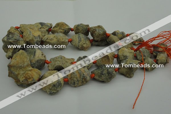 CNG1045 15.5 inches 15*20mm - 25*35mm nuggets inkstone fossil beads