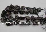 CNG1096 15.5 inches 18*25mm - 25*35mm nuggets ammonite fossil beads