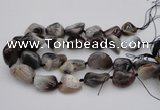 CNG1097 15.5 inches 18*25mm - 25*35mm nuggets botswana agate beads