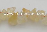 CNG1118 15.5 inches 8*12mm - 13*18mm nuggets citrine gemstone beads