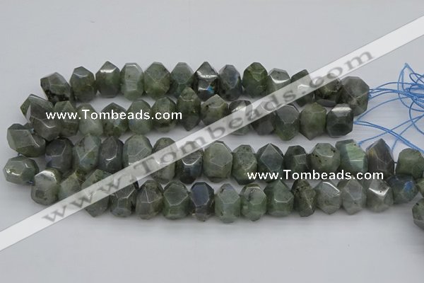 CNG1152 15.5 inches 10*14mm - 15*20mm faceted nuggets labradorite beads