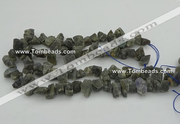 CNG1159 15.5 inches 8*12mm - 13*18mm nuggets labradorite beads