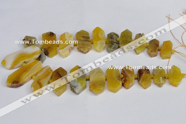 CNG1392 15.5 inches 15*25mm - 20*40mm wand agate gemstone beads