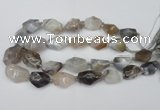 CNG1712 15.5 inches 15*20mm - 20*30mm nuggets botswana agate beads