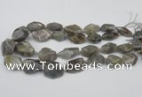 CNG1715 15.5 inches 15*20mm - 20*30mm nuggets labradorite beads