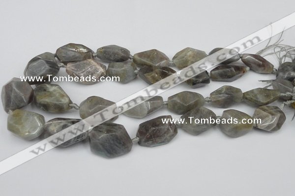 CNG1715 15.5 inches 15*20mm - 20*30mm nuggets labradorite beads