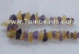 CNG2543 12*20mm – 15*30mm nuggets lavender amethyst & citrine beads