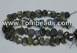 CNG2825 15.5 inches 13*18mm - 15*20mm freeform labradorite beads