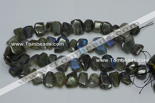 CNG2825 15.5 inches 13*18mm - 15*20mm freeform labradorite beads