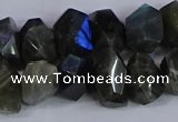 CNG2830 15.5 inches 10*14mm - 13*18mm faceted nuggets labradorite beads