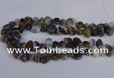 CNG2837 15.5 inches 8*12mm - 15*20mm nuggets botswana agate beads