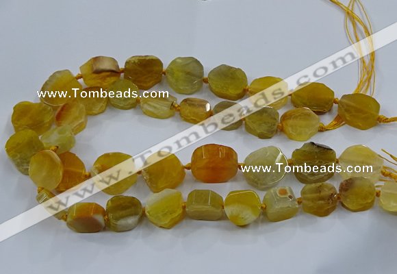 CNG2907 15.5 inches 12*16mm - 15*25mm freeform agate beads