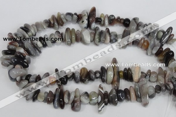 CNG316 15.5 inches 3*6mm - 5*22mm nuggets botswana agate beads