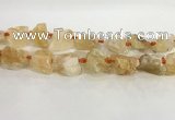 CNG3563 15.5 inches 18*20mm - 25*30mm nuggets rough citrine beads