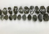 CNG3590 10*16mm - 15*30mm faceted nuggets labradorite beads