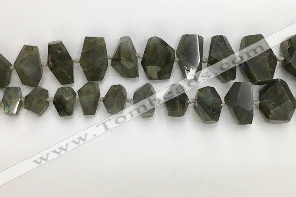 CNG3590 10*16mm - 15*30mm faceted nuggets labradorite beads