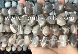 CNG3605 15.5 inches 13*20mm - 15*24mm faceted nuggets moonstone beads