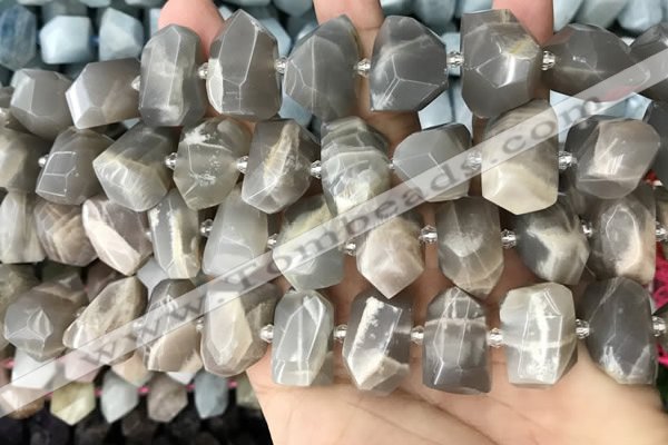 CNG3605 15.5 inches 13*20mm - 15*24mm faceted nuggets moonstone beads