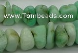 CNG5043 15.5 inches 6*10mm - 12*18mm nuggets Australia chrysoprase beads