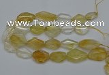 CNG5079 15.5 inches 20*30mm - 35*45mm freeform citrine beads