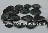 CNG5081 15.5 inches 20*30mm - 35*45mm freeform labradorite beads