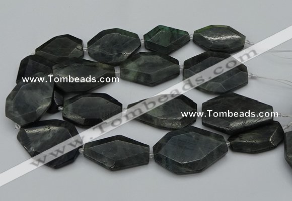 CNG5081 15.5 inches 20*30mm - 35*45mm freeform labradorite beads