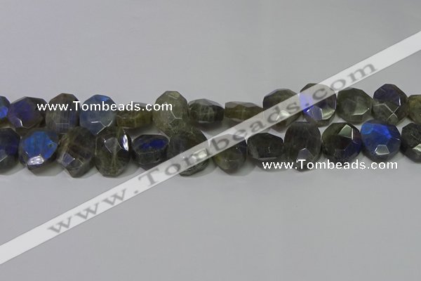 CNG5144 15.5 inches 15*18mm - 15*20mm faceted freeform labradorite beads