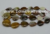 CNG5158 15.5 inches 16*22mm - 30*35mm freeform Mexican agate beads