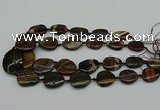 CNG5169 15.5 inches 16*22mm - 30*35mm freeform tiger iron beads