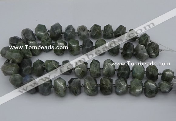 CNG5221 15.5 inches 12*16mm - 15*20mm faceted nuggets labradorite beads