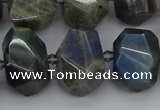 CNG5222 15.5 inches 12*16mm - 15*20mm faceted nuggets labradorite beads