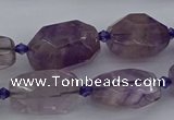 CNG5226 15.5 inches 10*15mm - 15*25mm faceted nuggets amethyst beads