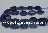 CNG5258 15.5 inches 20*30mm - 25*35mm faceted freeform lapis lzuli beads