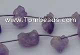 CNG5260 15.5 inches 5*8mm - 15*20mm nuggets amethyst beads