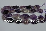 CNG5264 20*30mm - 22*35mm faceted freeform dogtooth amethyst beads