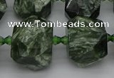 CNG5278 15.5 inches 13*18mm - 15*25mm faceted nuggets seraphinite beads