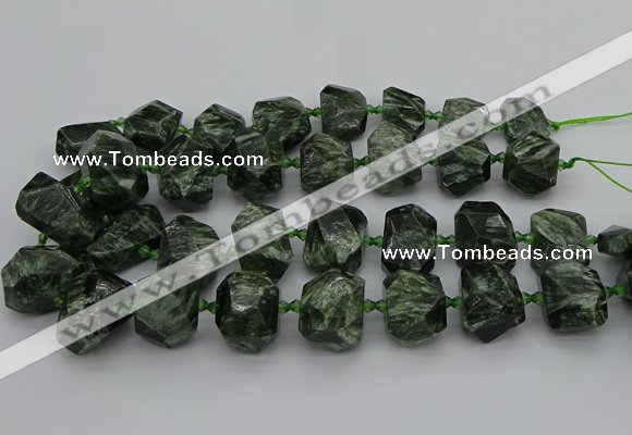 CNG5278 15.5 inches 13*18mm - 15*25mm faceted nuggets seraphinite beads