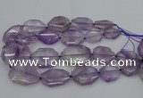 CNG5283 15.5 inches 20*30mm - 35*45mm faceted freeform amethyst beads