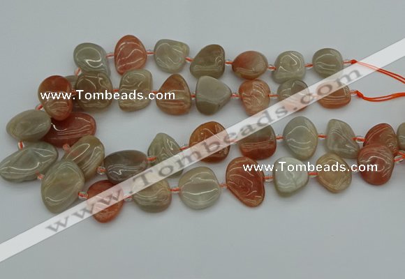 CNG5290 15.5 inches 13*18mm - 15*20mm freeform moonstone beads