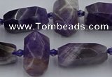 CNG5306 15.5 inches 12*16mm - 15*20mm faceted nuggets amethyst beads