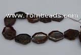 CNG5313 15.5 inches 20*30mm - 35*45mm freeform orange garnet beads