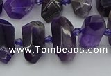 CNG5365 15.5 inches 12*16mm - 15*25mm faceted nuggets amethyst beads