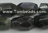 CNG5389 15.5 inches 12*16mm - 15*25mm faceted nuggets labradorite beads