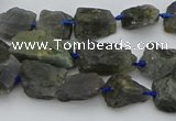 CNG5528 15.5 inches 10*14mm - 15*20mm nuggets labradorite beads