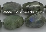 CNG5586 12*16mm - 15*25mm faceted nuggets labradorite beads