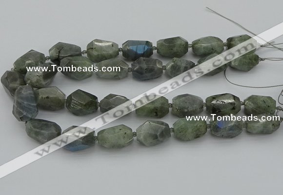 CNG5586 12*16mm - 15*25mm faceted nuggets labradorite beads