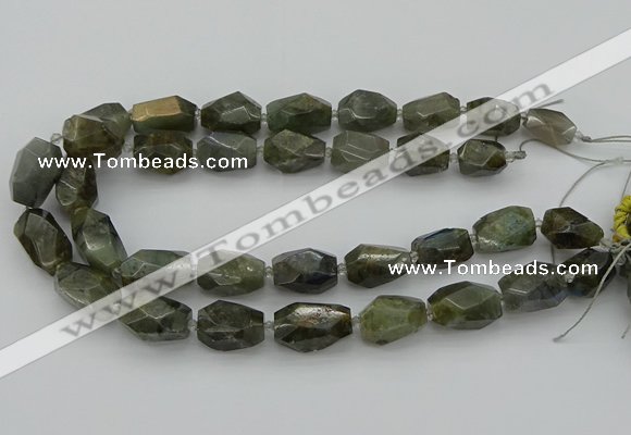 CNG5587 12*16mm - 15*25mm faceted nuggets labradorite beads