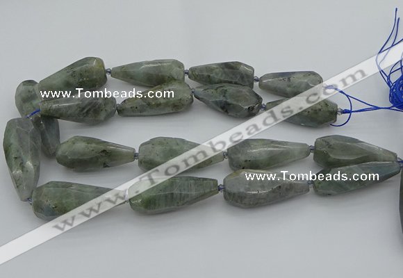 CNG5642 15.5 inches 15*35mm - 18*45mm faceted teardrop labradorite beads