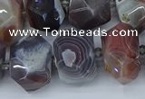 CNG5680 12*16mm - 15*20mm faceted nuggets botswana agate beads