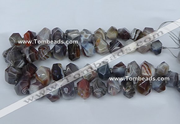 CNG5680 12*16mm - 15*20mm faceted nuggets botswana agate beads